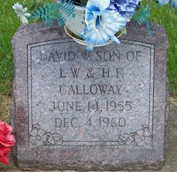 David W. Galloway 