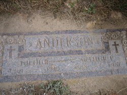 Arthur P Anderson 
