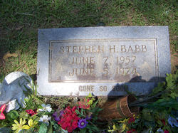 Stephen H Babb 