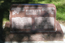 Fannie Louise <I>Irons</I> Carter 