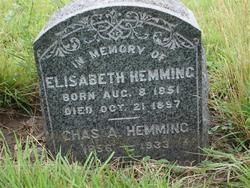 Elisabeth Hemming 
