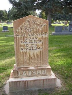 Mary Caroline <I>Anderson</I> Larsen 