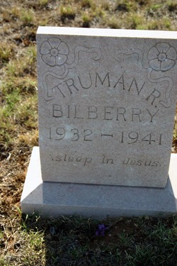 Truman Rock Bilberry 