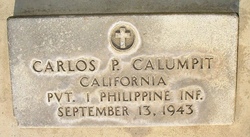 Carlos P Calumpit 