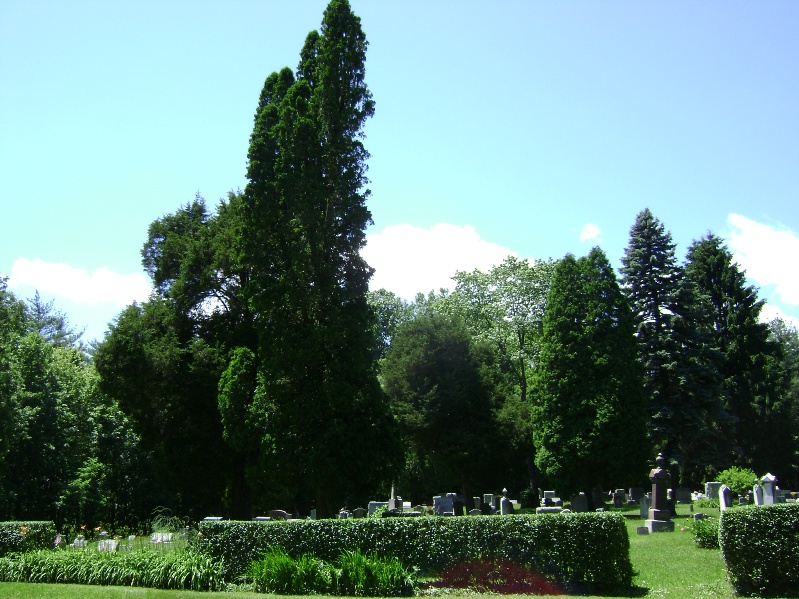 Trough Creek Cemetery