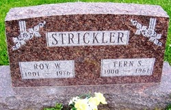 Alice Fern <I>Shaver</I> Strickler 