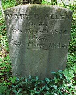 Mary C Allen 