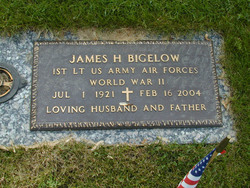 James Henry Bigelow 
