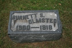 Burnett Stevens Olmsted 
