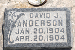 David John Anderson 