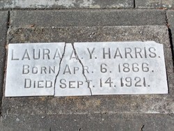 Laura A Y Harris 