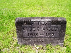 Allie Chandler 