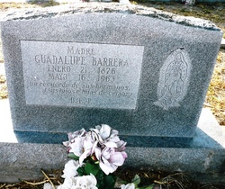 Guadalupe Barrera 