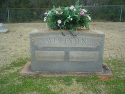 Annie E. Allison 