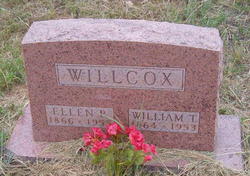 William Thomas Willcox 