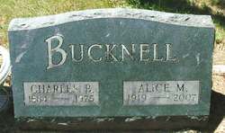 Alice M <I>Schultz</I> Bucknell 