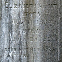 Elizabeth Ann <I>Stephenson</I> Holt 