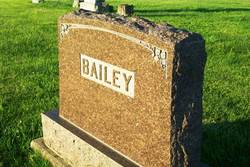 William G Bailey 