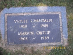 Violet Daisy <I>Ortlip</I> Christaldi 