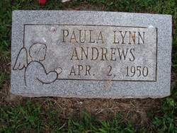 Paula Lynn Andrews 