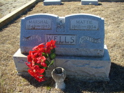 Marshall Wells 