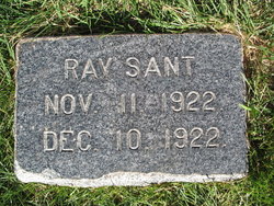 Ray Sant 