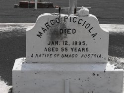 Marco Picciola 