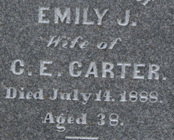 Emily J Carter 