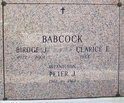 Peter J Babcock 