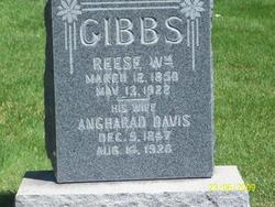 Angharad <I>Davis</I> Gibbs 