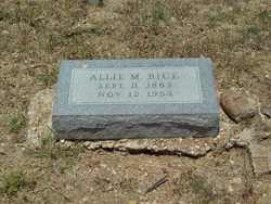Allie Mae <I>Locklin</I> Bice 
