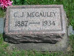Christopher James McGauley 