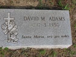 David M. Adams 