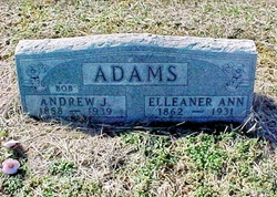 Eleanor Ann <I>Collins</I> Adams 