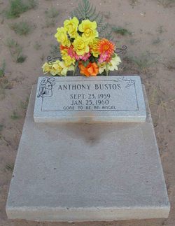 Anthony Bustos 