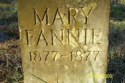 Mary Fanny Wilkerson 