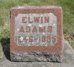 Elwin P. Adams 