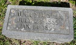 Augustus Lee Jr.