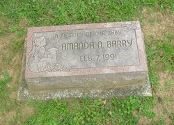 Amanda N. Barry 