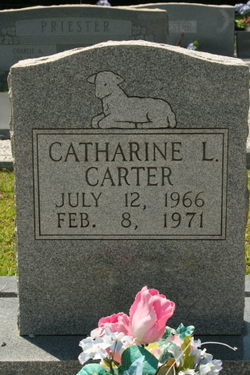 Catherine L. Carter 
