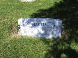 Mary Ann <I>Morris</I> Harris 