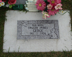 Taylor James Gedge 