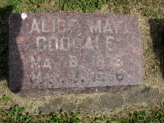 Alice May Goodale 