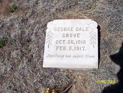 George Dale Grove 
