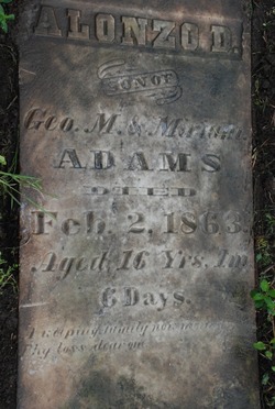 Alonzo D. Adams 