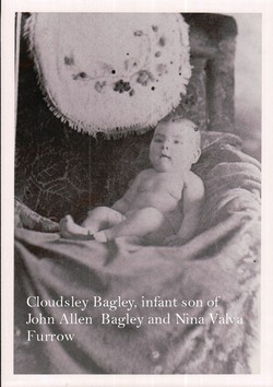 Cloudsley Furrow Bagley 