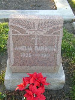 Amelia Barbosa 