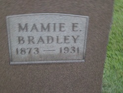 Mamie Ellen <I>Foster</I> Bradley 