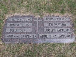Adolphina Louise “Delphina” <I>Young</I> Partlow 