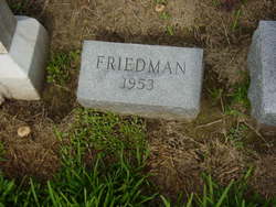 Friedman 